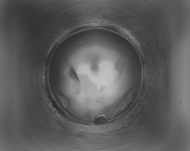 X0000084020010200702232244