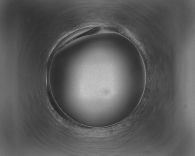 X0000084020011200702232244