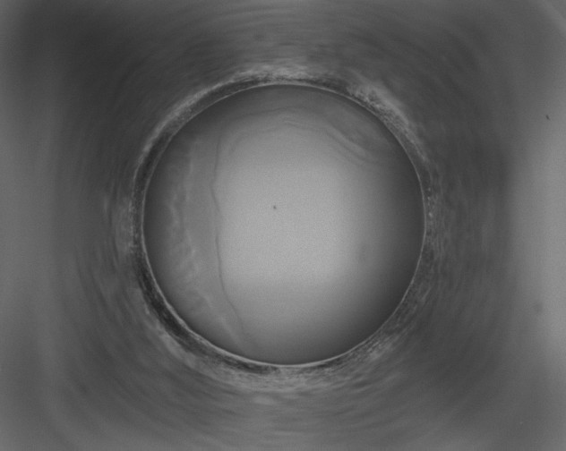 X0000084020012200702232244