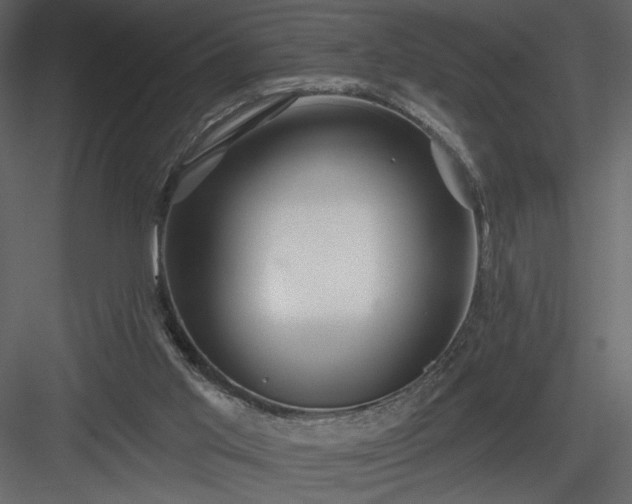 X0000084020013200702232244