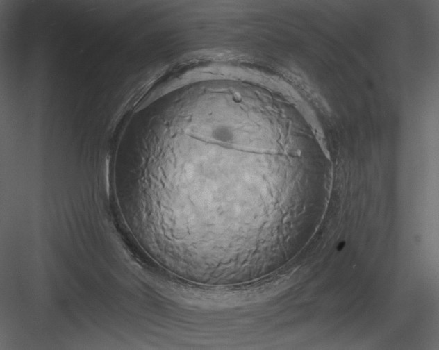 X0000084020014200702232244