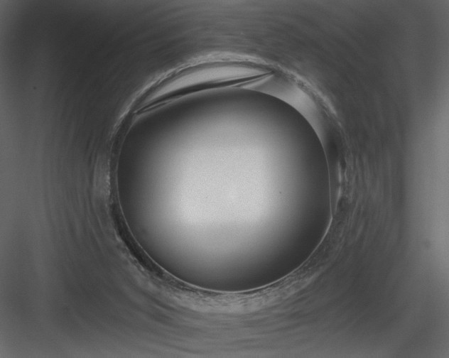 X0000084020015200702232244