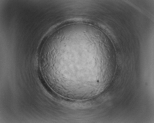 X0000084020016200702232244