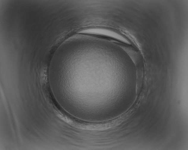 X0000084020017200702232244