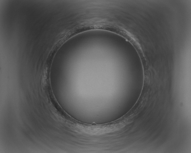 X0000084020018200702232244