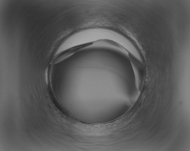 X0000084020019200702232244