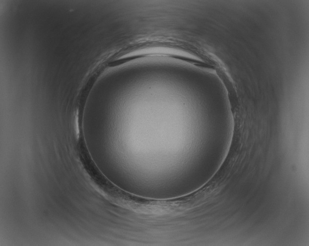 X0000084020020200702232244