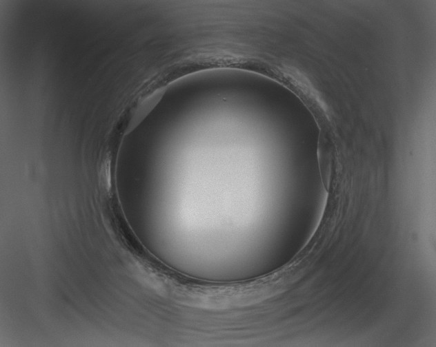 X0000084020021200702232244