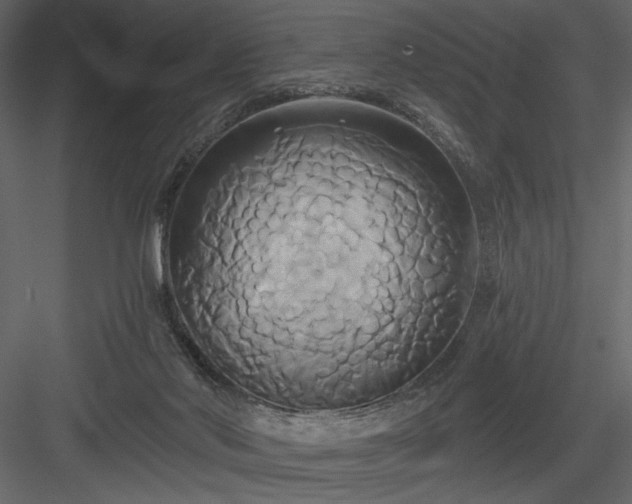 X0000084020022200702232244