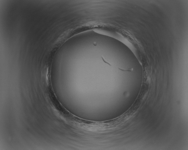 X0000084020024200702232244