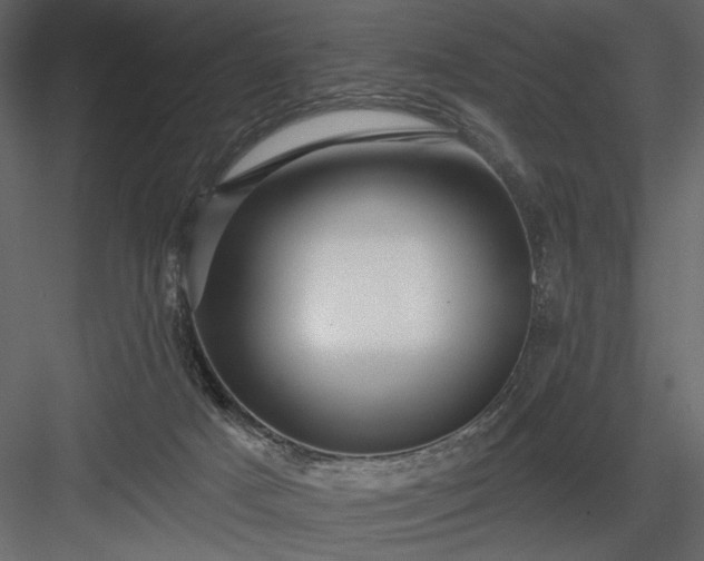 X0000084020025200702232244