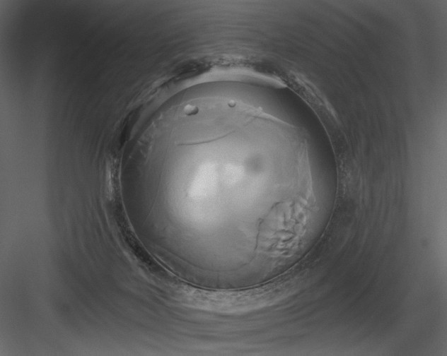 X0000084020026200702232244