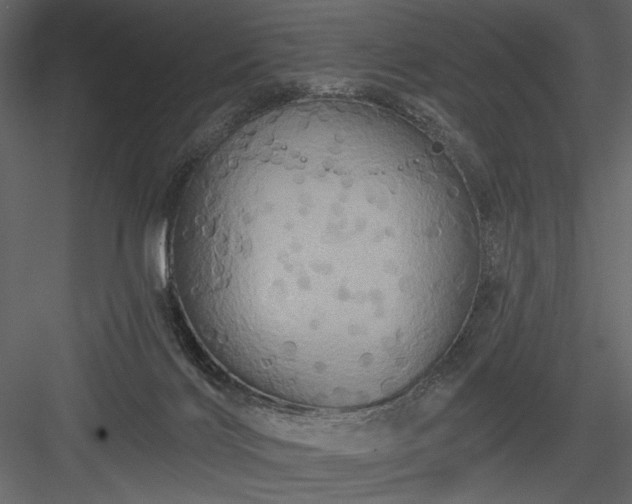 X0000084020028200702232244