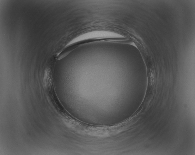 X0000084020029200702232244