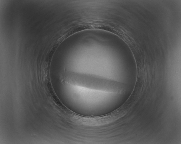 X0000084020030200702232243