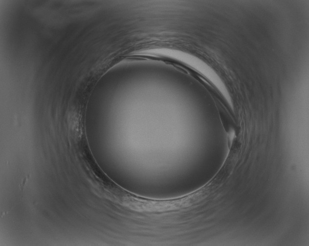 X0000084020031200702232243