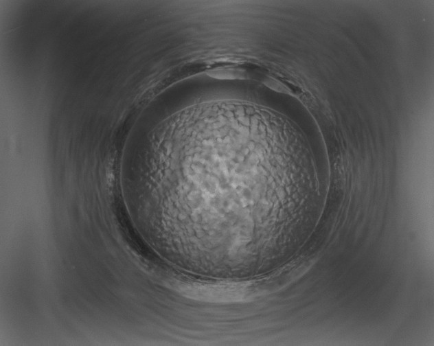 X0000084020032200702232243