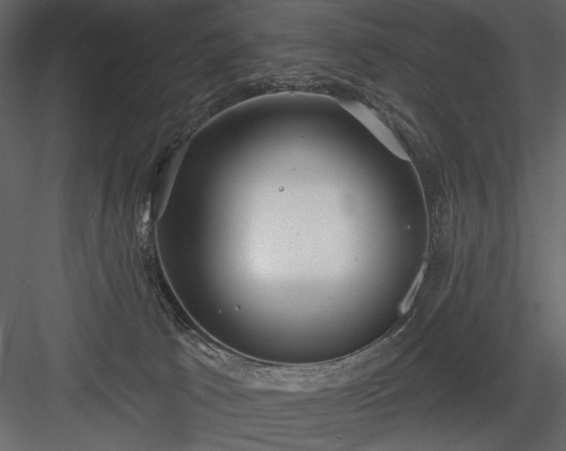 X0000084020033200702232243