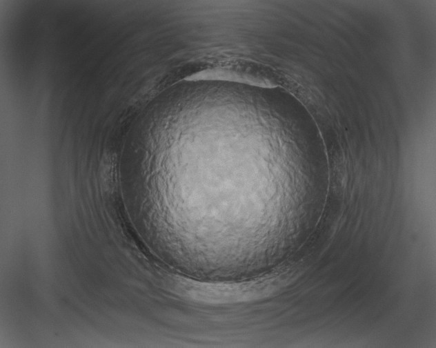 X0000084020034200702232243