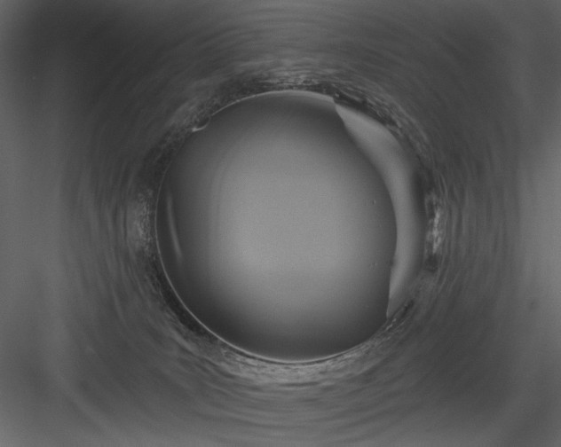 X0000084020035200702232243