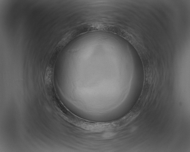 X0000084020036200702232243