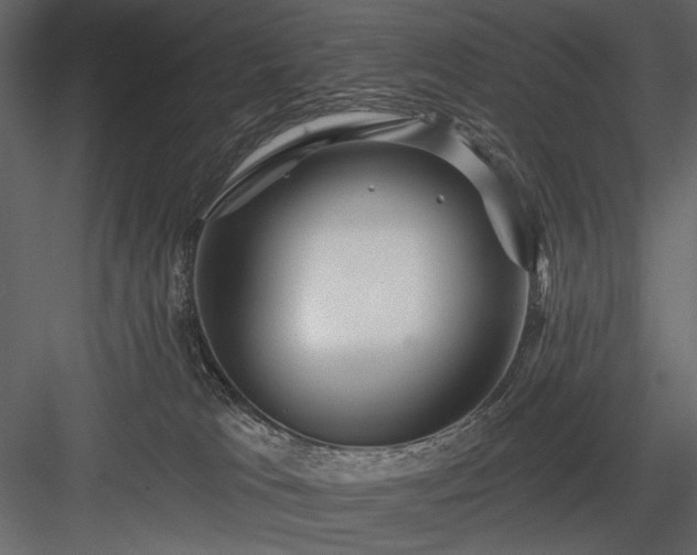 X0000084020037200702232243