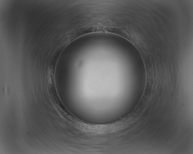 X0000084020038200702232243