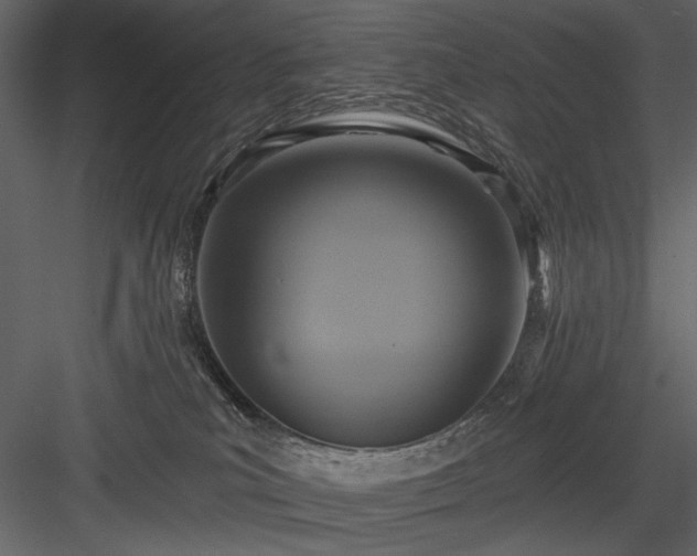 X0000084020039200702232243