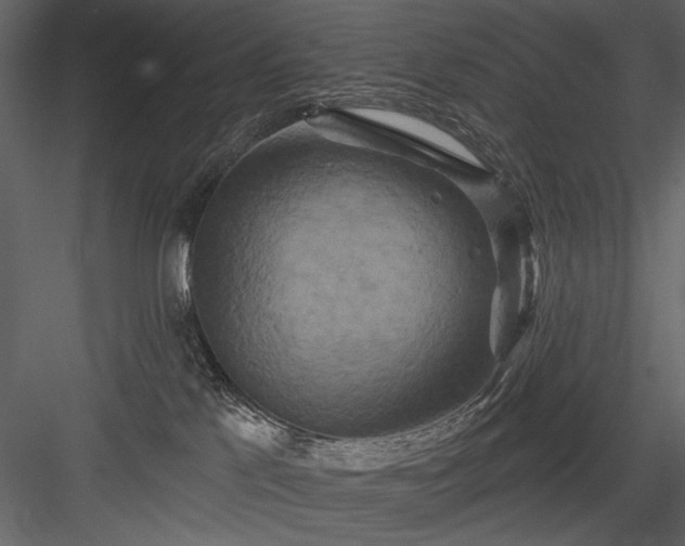 X0000084020041200702232243