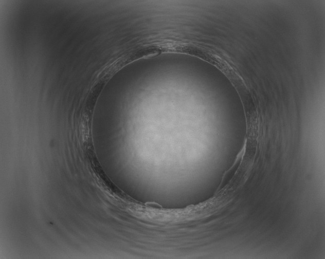 X0000084020043200702232243