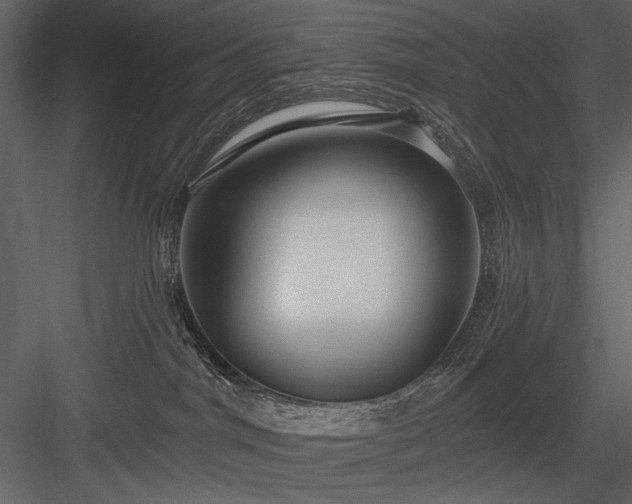 X0000084020044200702232243