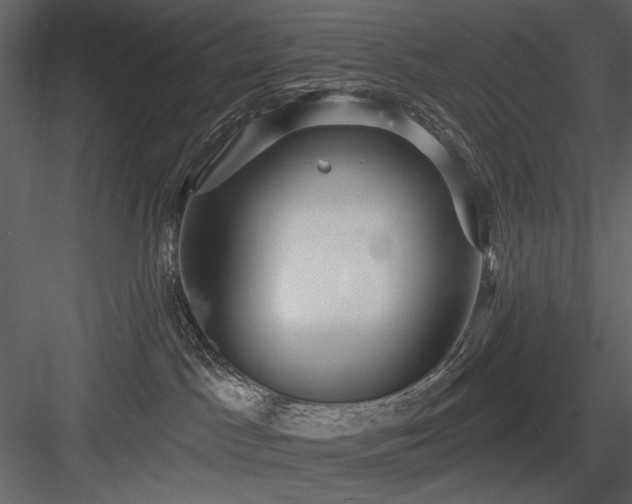 X0000084020045200702232243