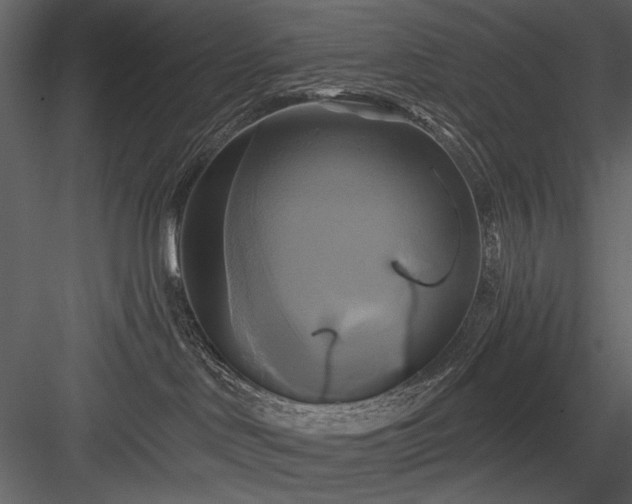 X0000084020046200702232243