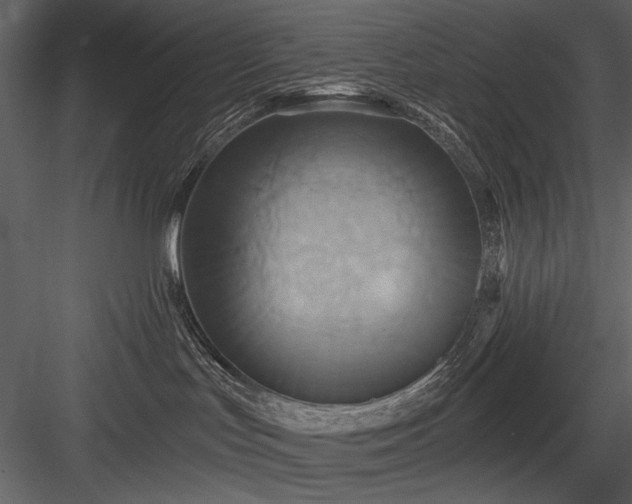 X0000084020047200702232243