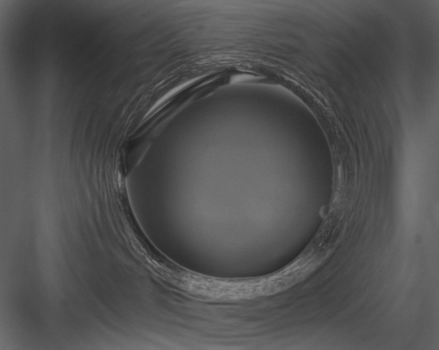 X0000084020048200702232243