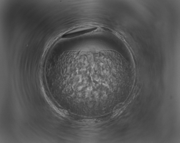 X0000084020049200702232242