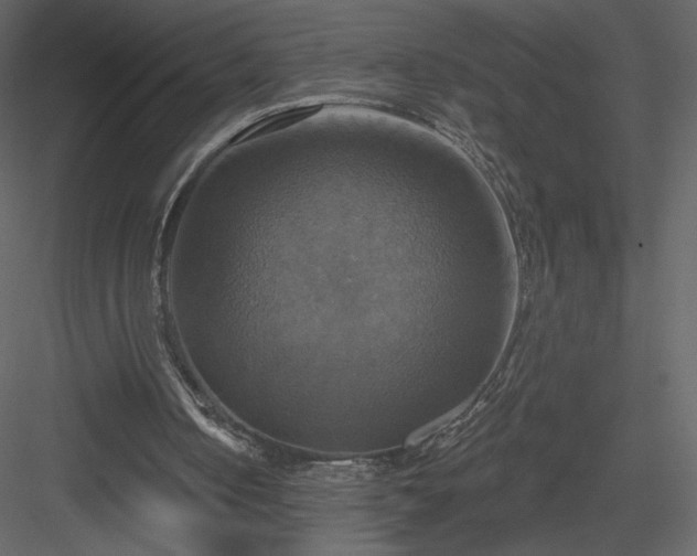 X0000084020050200702232242