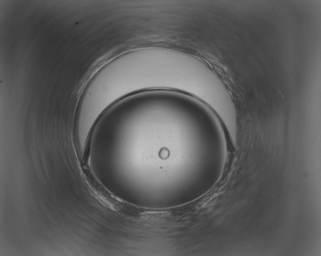 X0000084020051200702232242