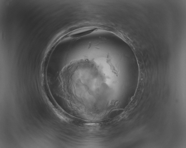 X0000084020053200702232242