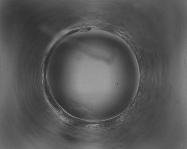 X0000084020054200702232242