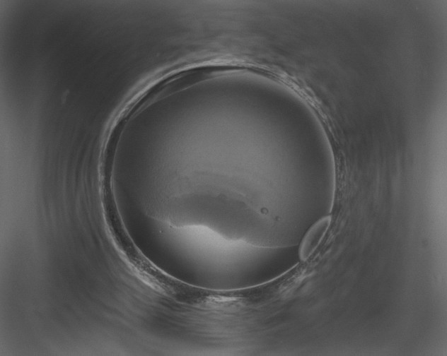 X0000084020055200702232242