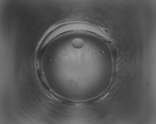 X0000084020056200702232242