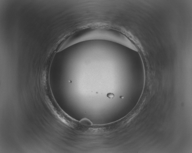 X0000084020057200702232243