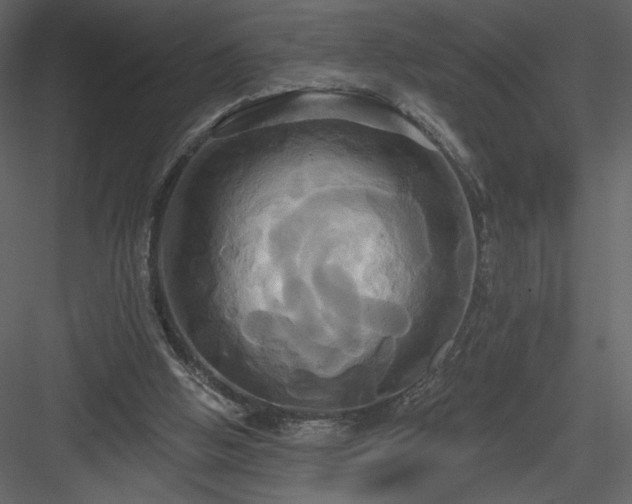 X0000084020058200702232243