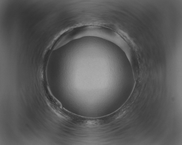 X0000084020060200702232243