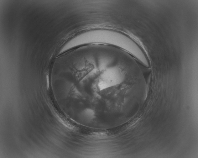 X0000084020061200702232243