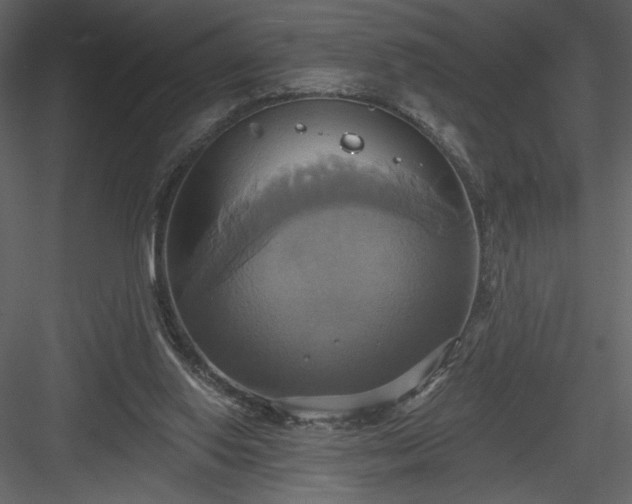 X0000084020062200702232243