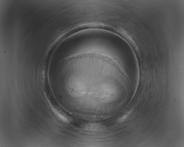 X0000084020063200702232243