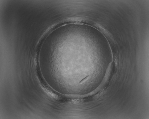 X0000084020064200702232243