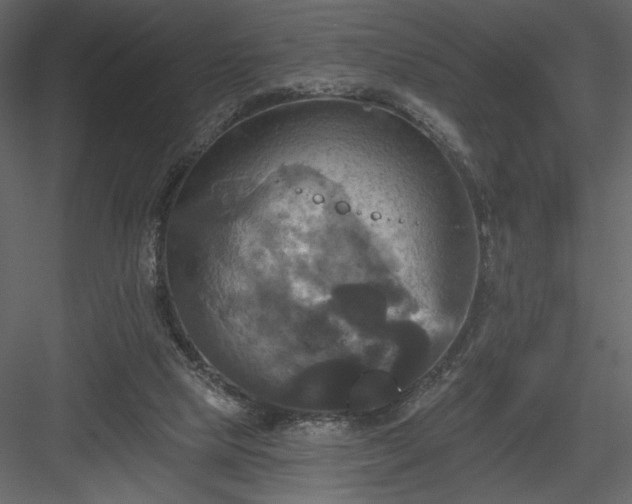 X0000084020065200702232243